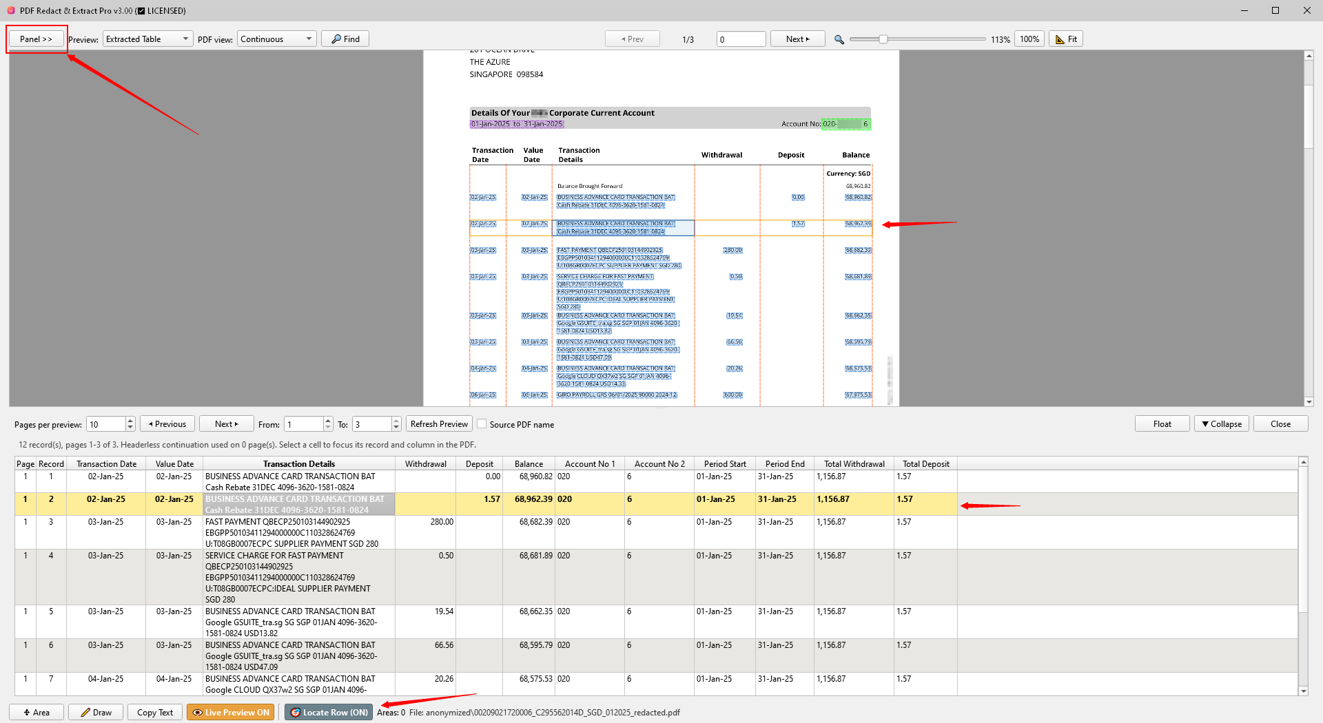 Extracted Table Excel Preview